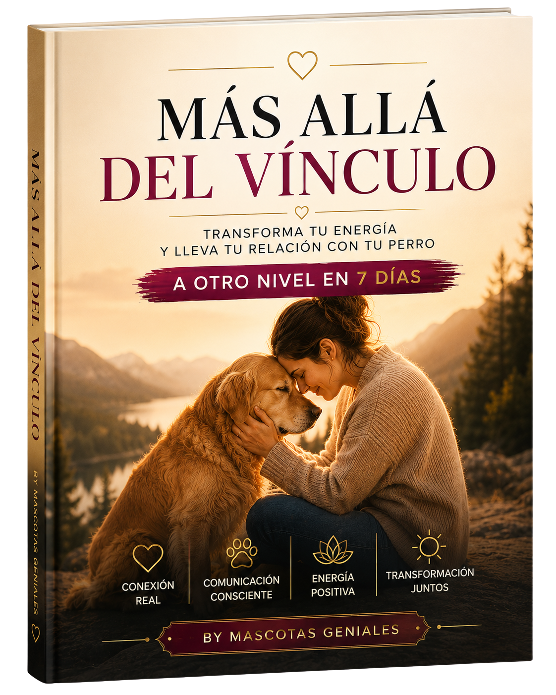 Más Allá del Vínculo